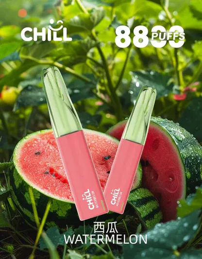 001-01.webp CHILL鴨嘴獸 8800口拋棄式|12W爆發防漏,3%丁鹽,台灣正品現貨快速出貨