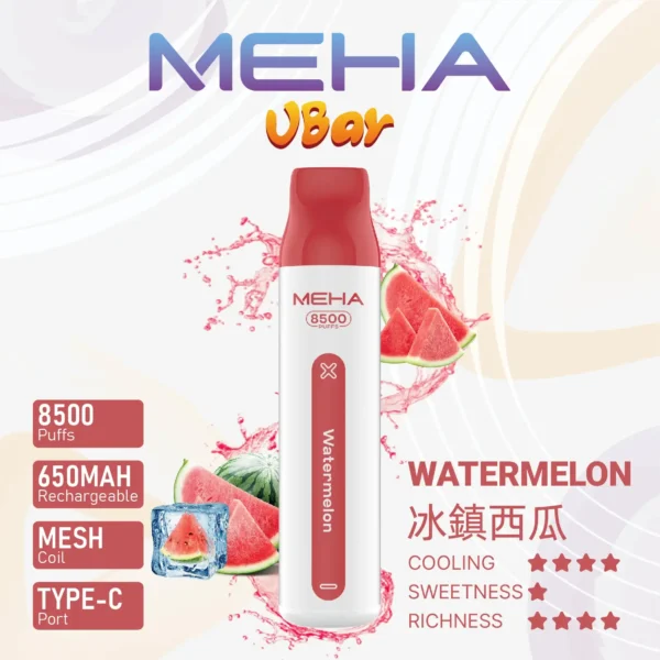 MEHA VBar 魅嗨 8500口拋棄式電子煙｜650mAh可充電，水果涼感，台灣正品現貨快速出貨