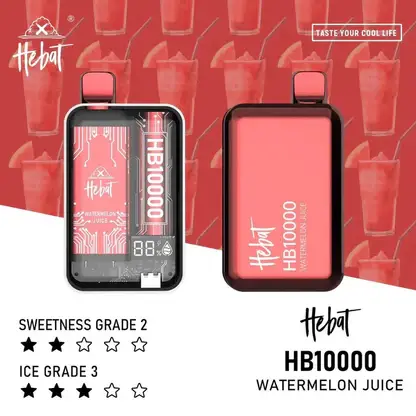 Hebat喜貝拋棄式一次性10000口-2.webp Hebat喜貝 10000口拋棄式|LED螢幕防漏,Type-C快充,台灣正品現貨快速出貨