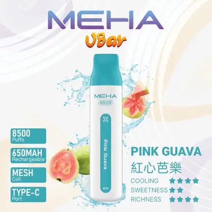 MEHA VBar 魅嗨 8500口拋棄式電子煙｜650mAh可充電，水果涼感，台灣正品現貨快速出貨