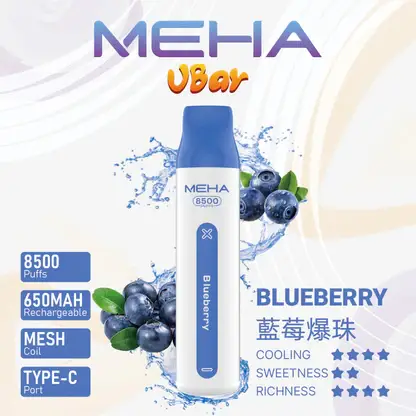 MEHA VBar 魅嗨 8500口拋棄式電子煙｜650mAh可充電，水果涼感，台灣正品現貨快速出貨