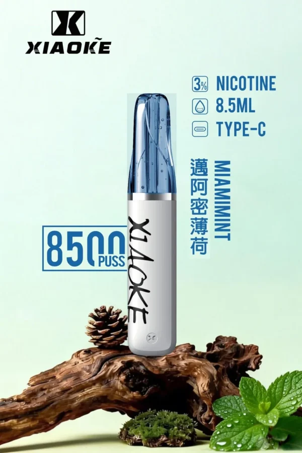 27763104a941bdf31156bc0c11499293-1024x1536.jpg XIAOKE 梟客 8500口拋棄式電子煙|8.5ml儲油量 3%丁鹽 支援Type-C充電,台灣現貨正品快速出貨