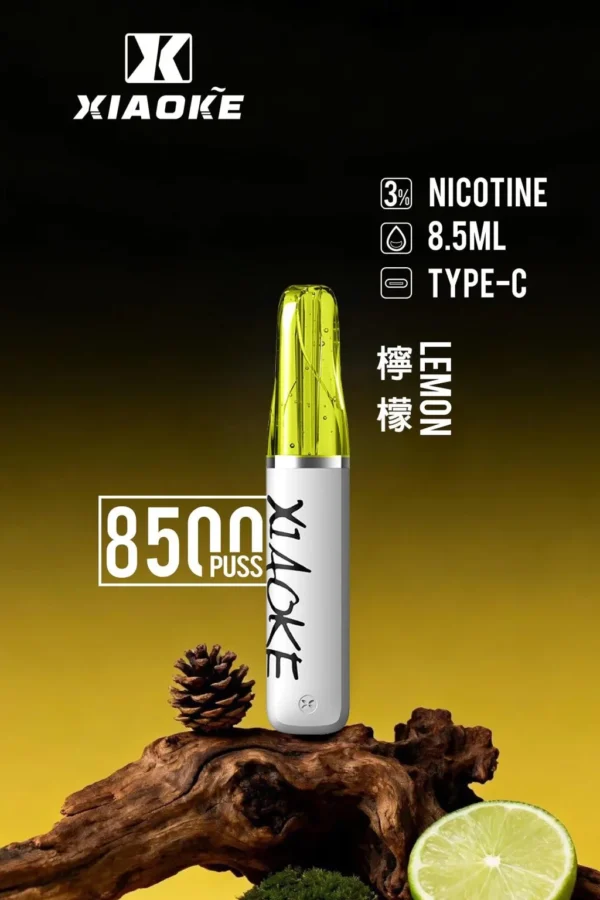 d185d7e28615e84aca893d861a0e04f4-1024x1536.jpg XIAOKE 梟客 8500口拋棄式電子煙|8.5ml儲油量 3%丁鹽 支援Type-C充電,台灣現貨正品快速出貨